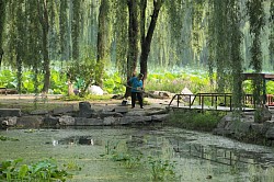 a huge garden in Beijing